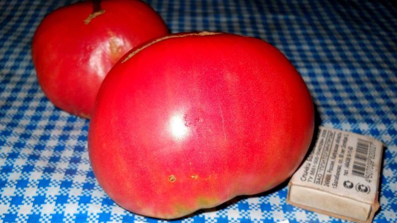 Großfruchtige Sorte mit einem delikaten Geschmack für die Ernährung - Tomaten-Zarenglocke