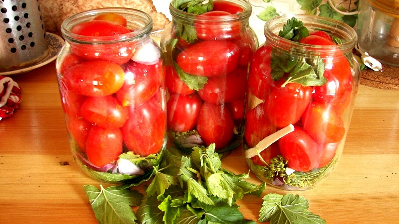 Top 10 ungewöhnliche Tomatenrezepte für den Winter: wie man leckere Tomaten kocht und richtig aufrollt