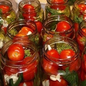 Top 10 ungewöhnliche Tomatenrezepte für den Winter: wie man leckere Tomaten kocht und richtig aufrollt