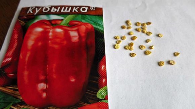 Wir bauen auf der Website eine der beliebtesten Arten von Paprika an - den Pod