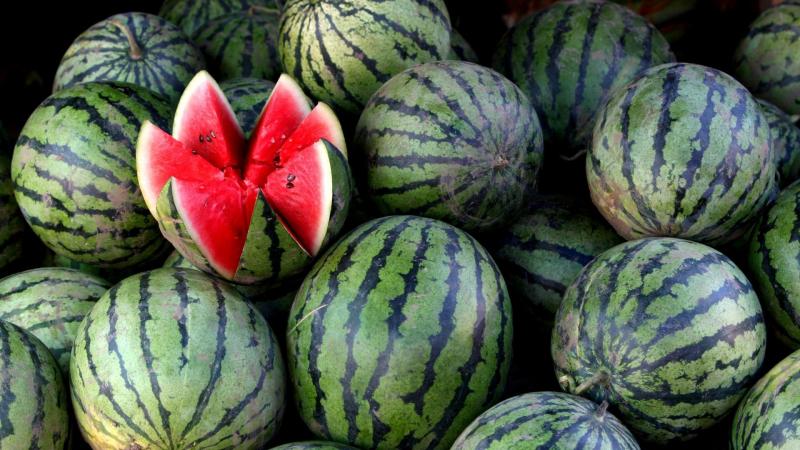 Die Frage, die viele beunruhigt: Warum ist eine Wassermelone eine Beere?