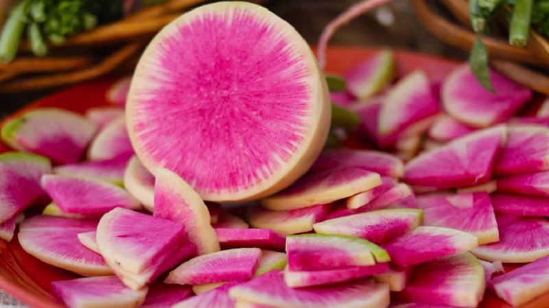 Ungewöhnlich aussehender und angenehm schmeckender Wassermelonenrettich: Was ist gut und wie wächst man?