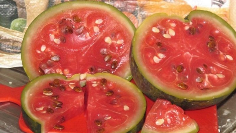 Einfache und schnelle Rezepte für fermentierte Wassermelonen