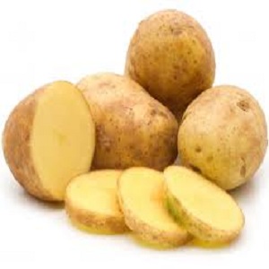 Adretta potato variety from German breeders