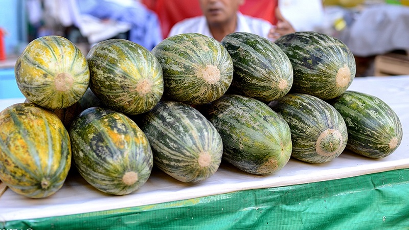 Duftende und leckere Khasanka-Melone: ​​Wie Sie auf Ihrer Website auswählen und wachsen können