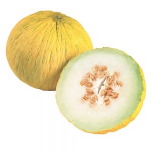 Was ist gut an der Kassaba-Melone, wie man sie auswählt und anbaut