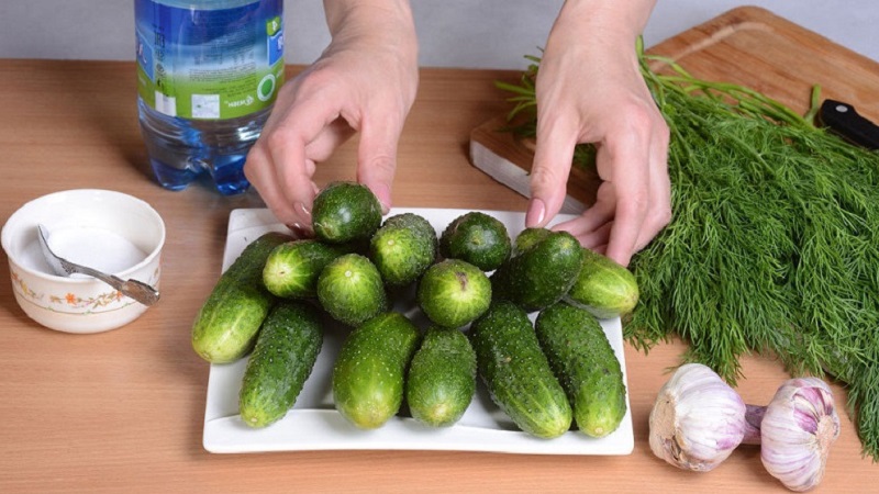 Wie man schnell und lecker leicht gesalzene Gurken kocht