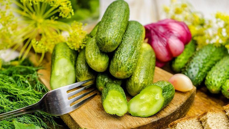 Wie man schnell und lecker leicht gesalzene Gurken kocht