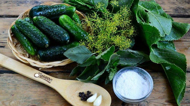 Wie man schnell und lecker leicht gesalzene Gurken kocht