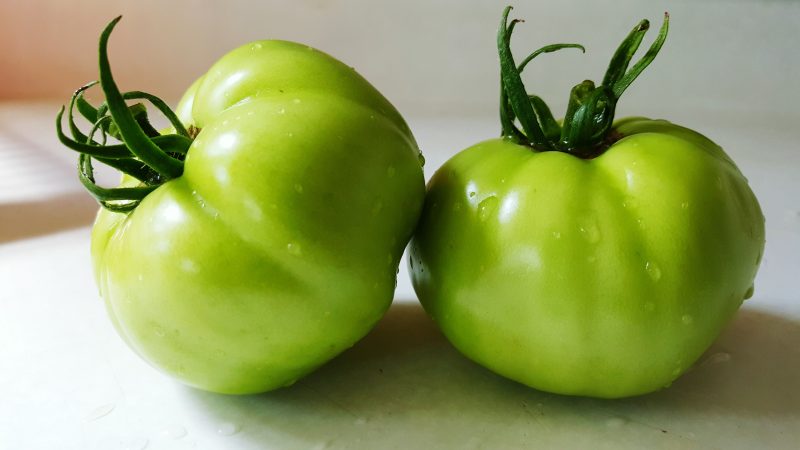 So lagern Sie Tomaten so, dass sie rot werden: Beschleunigen Sie die Reifung und halten Sie das Gemüse lange frisch