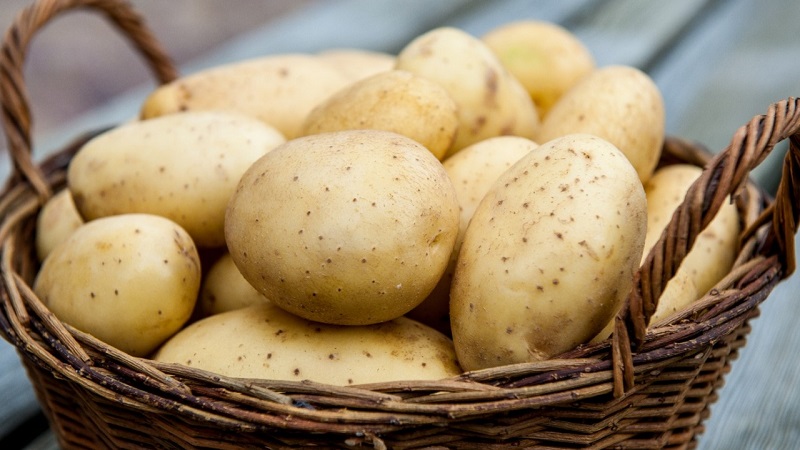 Wir kaufen harmloses Gemüse: Wie man Kartoffeln zu Hause auf Nitrate überprüft und wofür