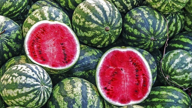 Wie man Wassermelonenkerne für das Pflanzen zu Hause aufbewahrt