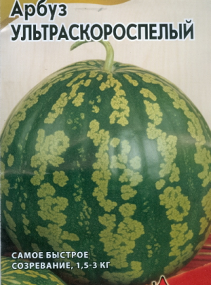 Welche Arten von Wassermelonen sind für das Pflanzen in Sibirien vorzuziehen?