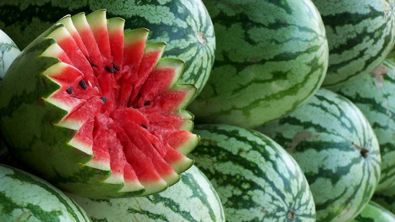 Wann reifen Wassermelonen und wie bestimmen sie ihre Reife?