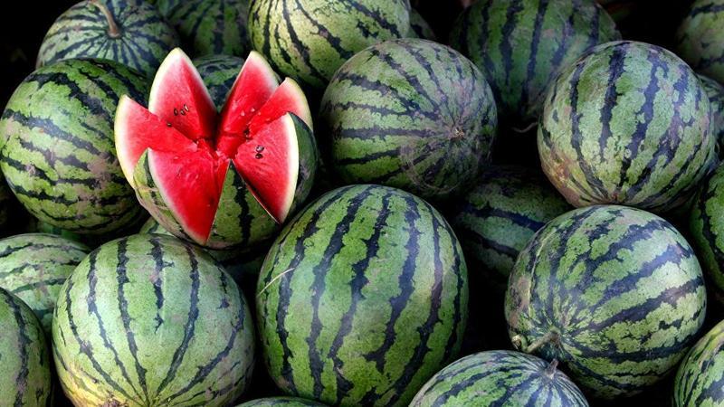 Wann reifen Wassermelonen und wie bestimmen sie ihre Reife?