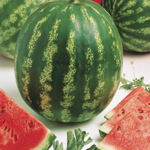 Beliebte Wassermelonensorte Crimson Sweet: Ein Überblick über die Vor- und Nachteile und die wachsende Technologie