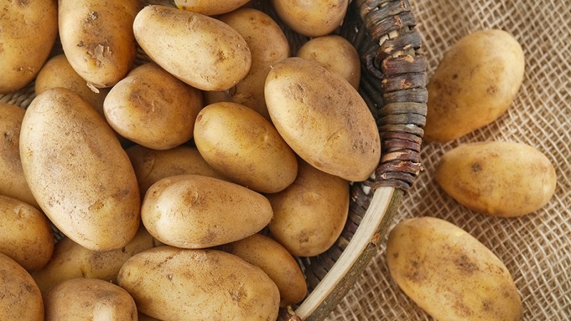 Können Sie während des Stillens Kartoffeln essen?