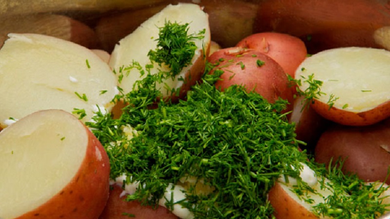 Können Sie während des Stillens Kartoffeln essen?