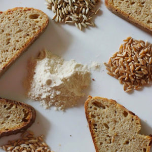 Gefährliches Gluten: Ist es in Hafer