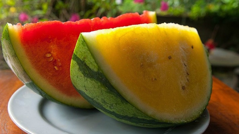 Beschreibung und Eigenschaften der gelben Wassermelonen