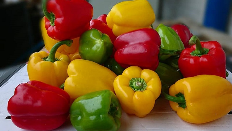 Die Vor- und Nachteile von gelbem Paprika und gibt es einen Unterschied zwischen den Farben des Gemüses