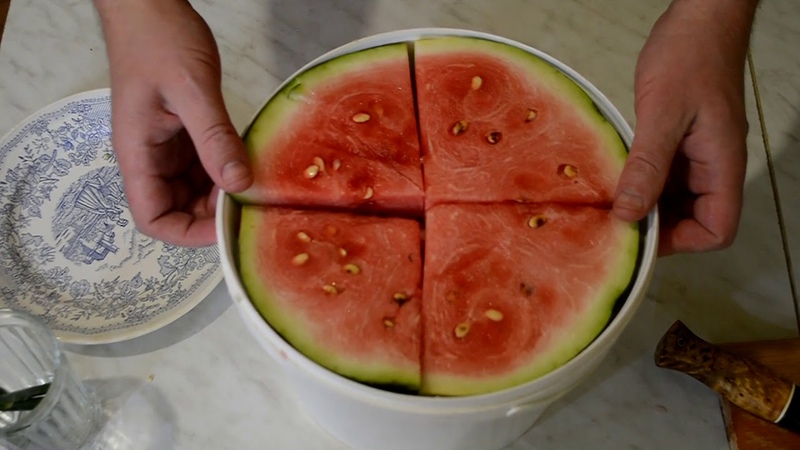 Wie man Wassermelonen in einem Topf in Scheiben schnell, einfach und lecker salzt