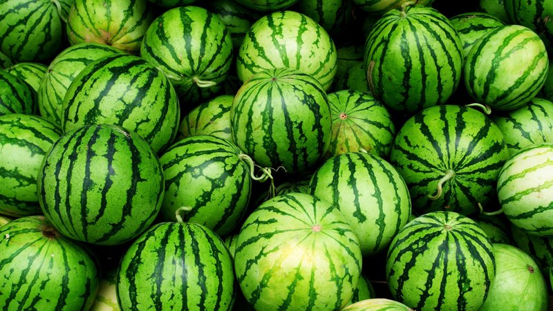 Die Gründe, warum Wassermelone bitter ist und es möglich ist, eine solche Frucht zu essen