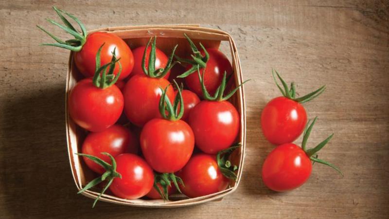 Wir werden Ihnen zeigen und zeigen, wie Sie Tomaten lange frisch halten können: interessante Life-Hacks von erfahrenen Besitzern