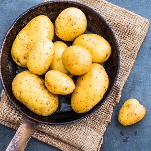 Was ist gut an der deutschen Zekura-Kartoffelsorte: Beschreibung, Eigenschaften und Bewertungen