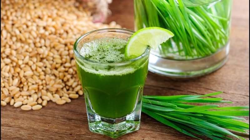 Maximaler Nutzen in einem Glas: Wir bereiten Weizengrassaft richtig zu und trinken ihn