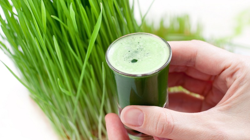 Maximaler Nutzen in einem Glas: Wir bereiten Weizengrassaft richtig zu und trinken ihn