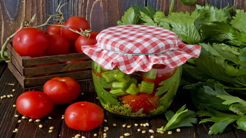 Erstaunlich schmeckende Rezepte für Tomaten mit Sellerie für den Winter