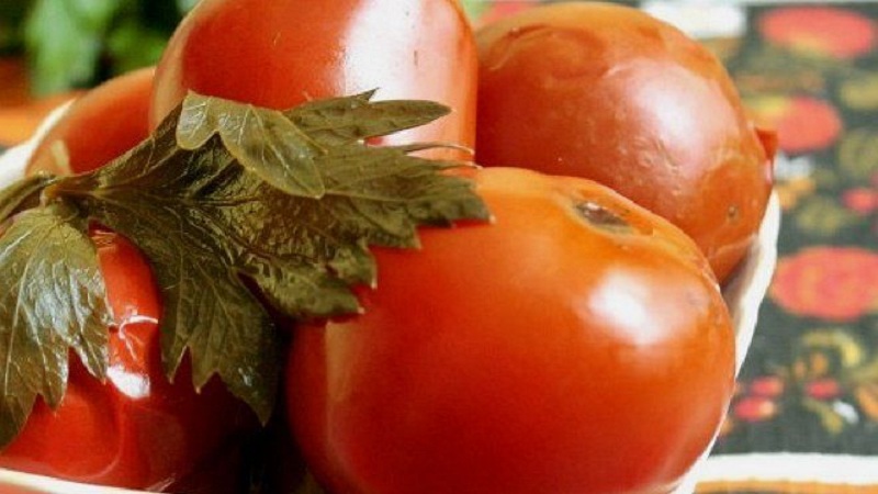 Erstaunlich schmeckende Rezepte für Tomaten mit Sellerie für den Winter