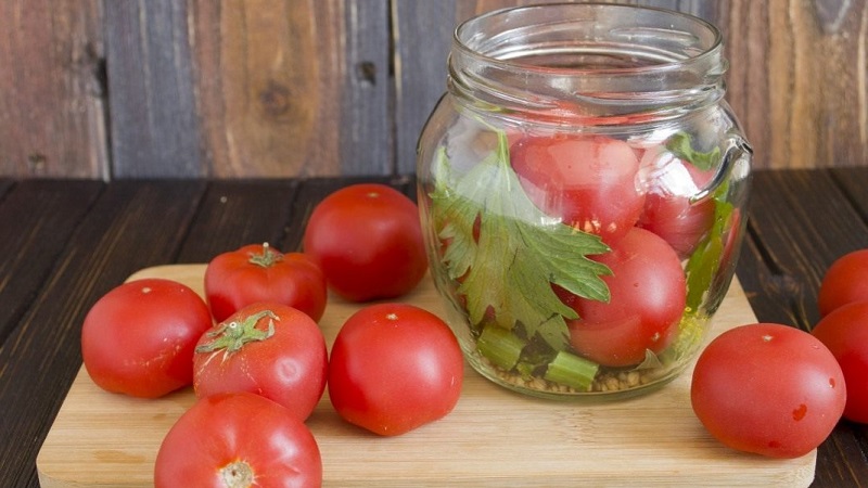 Erstaunlich schmeckende Rezepte für Tomaten mit Sellerie für den Winter