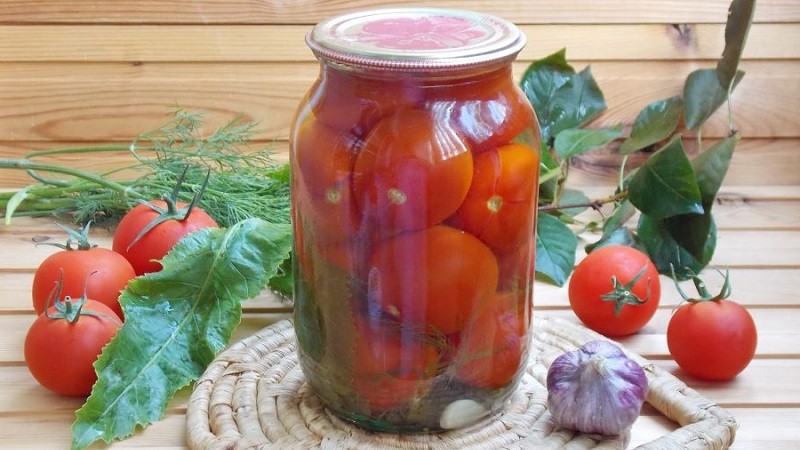 Erstaunlich schmeckende Rezepte für Tomaten mit Sellerie für den Winter