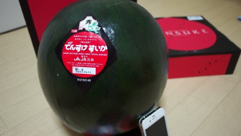 Was ist schwarze Wassermelone: ​​Beschreibung, Eigenschaften und die besten Sorten dieser Art