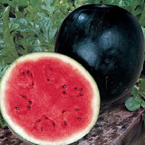 Was ist schwarze Wassermelone: ​​Beschreibung, Eigenschaften und die besten Sorten dieser Art