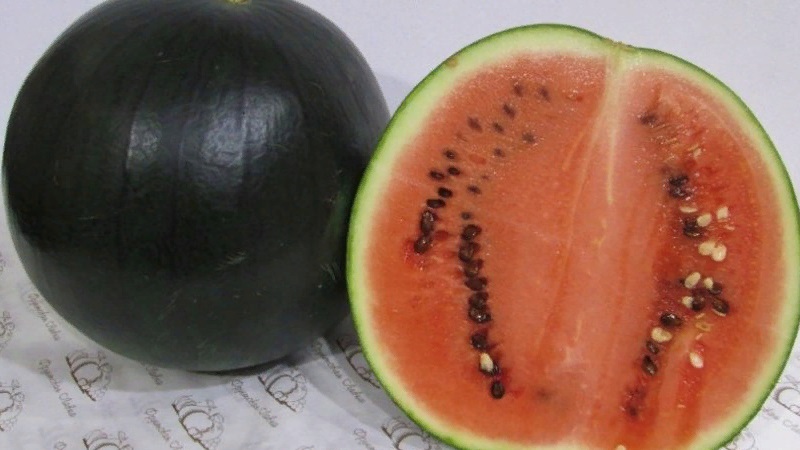 Was ist schwarze Wassermelone: ​​Beschreibung, Eigenschaften und die besten Sorten dieser Art