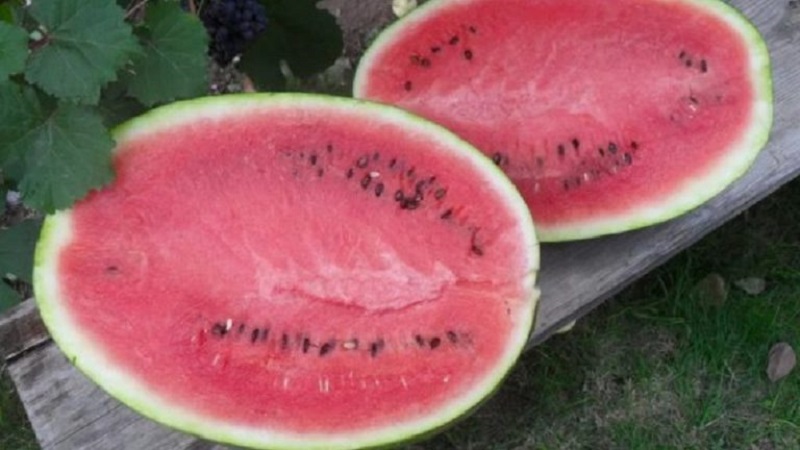 Was ist schwarze Wassermelone: ​​Beschreibung, Eigenschaften und die besten Sorten dieser Art