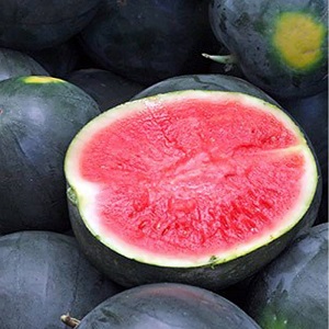 Was ist schwarze Wassermelone: ​​Beschreibung, Eigenschaften und die besten Sorten dieser Art