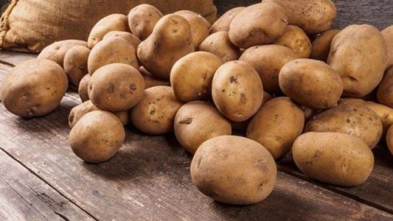 Die Geschichte der Entstehung und Verbreitung von Kartoffeln: Woher Kartoffeln kommen und wie sie an Popularität gewinnen