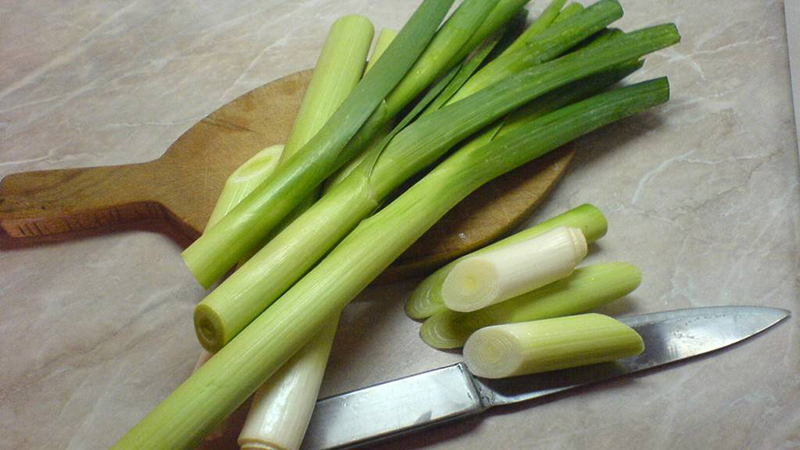 Wie man Lauchsuppe zur Gewichtsreduktion kocht und isst