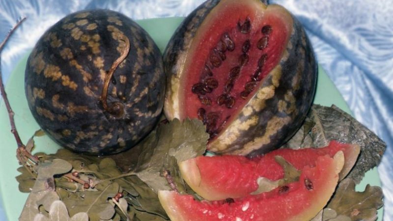 Wie man Wassermelonen in einem Fass fermentiert: bewährte Rezepte