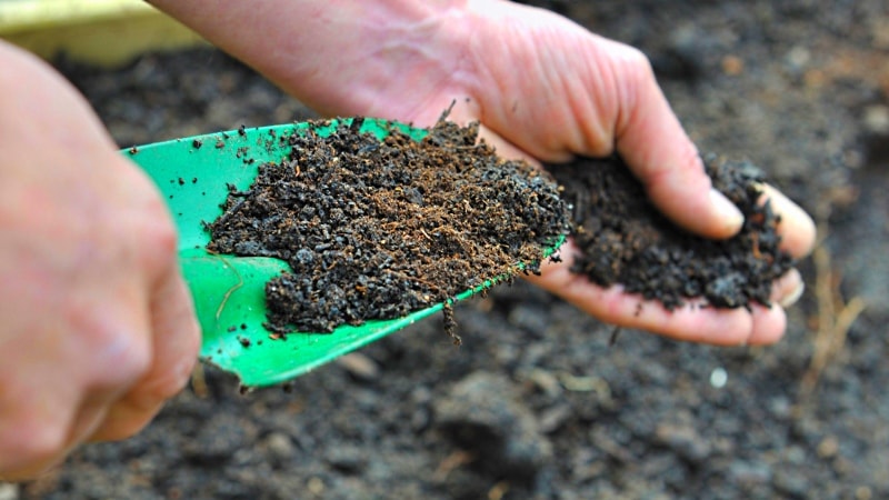 Welche Düngemittel sollen im Herbst nach der Kartoffelernte angewendet werden?