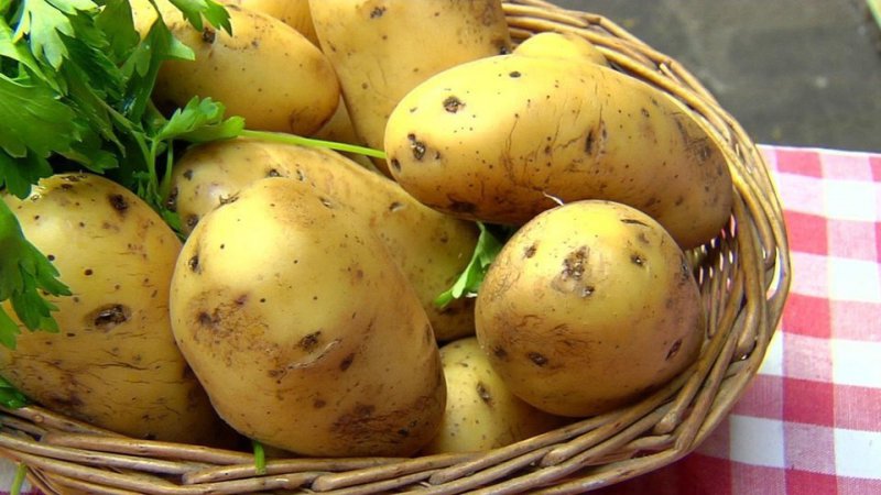 Kartoffeln im Kampf gegen Hämorrhoiden: Wie man Zäpfchen und Kompressen zur Behandlung herstellt