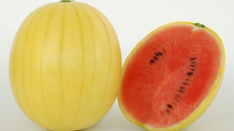 Die Namen früher Sorten von Wassermelonen für offenes Gelände und Bewertungen darüber