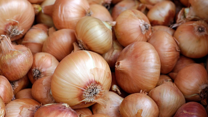 Warum müssen Frauen Zwiebeln essen und wie sind sie nützlich?