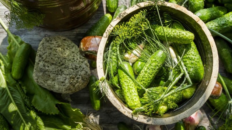 Eine Auswahl der besten Rezepte für eingelegte Gurken für den Winter zu Hause