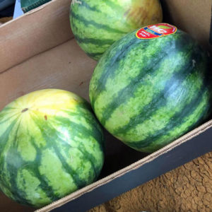 Bei welcher Temperatur und wie viel Wassermelone gelagert wird