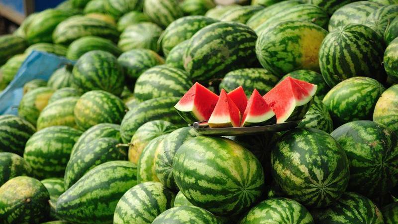 Die Namen früher Sorten von Wassermelonen für offenes Gelände und Bewertungen darüber